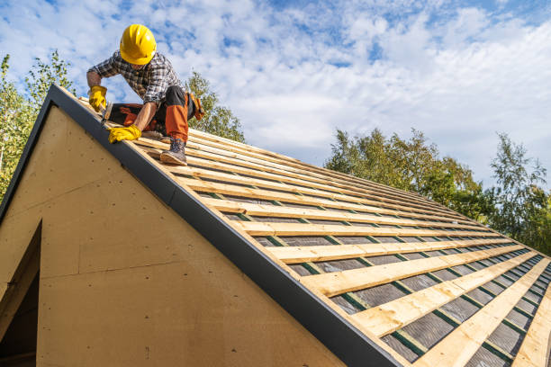 Best Roof Leak Repair  in Diaz, AR