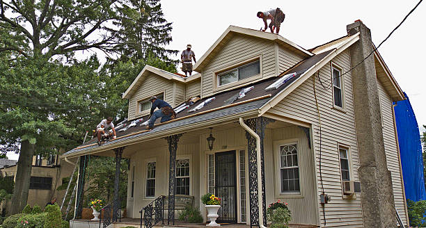 Best Flat Roof Repair Services  in Diaz, AR