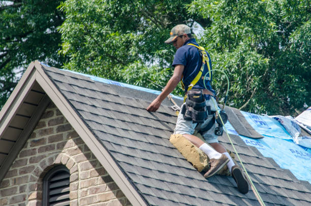 Best Commercial Roofing Services  in Diaz, AR